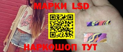 винт Донецк