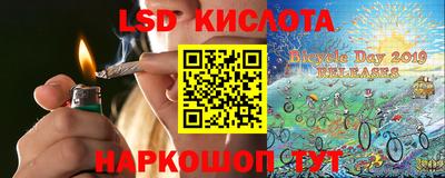 винт Донецк