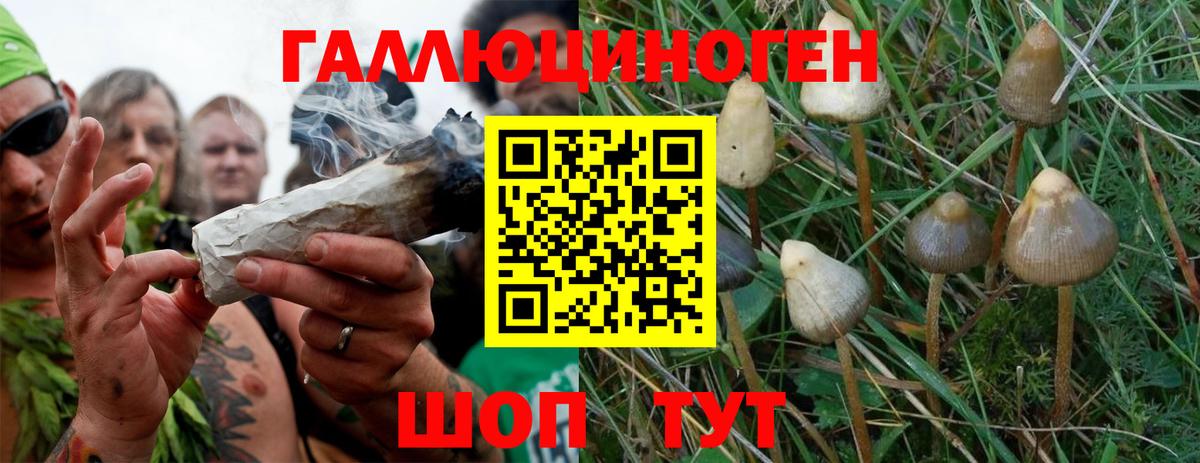 Псилоцибиновые грибы ЛСД Киров